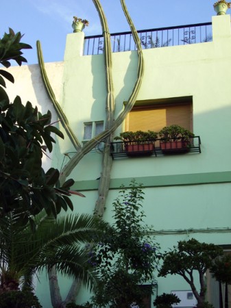 Façade de maison