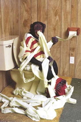 Problème de singe